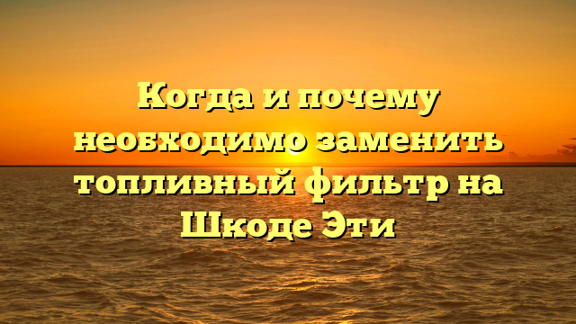 Когда и почему необходимо заменить топливный фильтр на Шкоде Эти