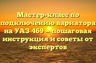Мастер-класс по подключению вариатора на УАЗ 469 — пошаговая инструкция и советы от экспертов
